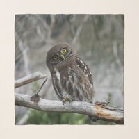 Northern Pygmy Owl Scarf