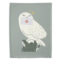 Hedwig With Letter Whimsical Drawing Duvet Cover
