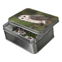 Western Barn Owl Puzzle