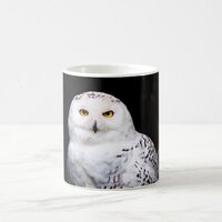 Majestic winter snowy owl coffee mug