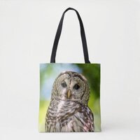 Barred Owl of the Hudson Valley &ndash; Nature & Wildlif Tote Bag