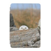Snowy Owl iPad Mini Cover