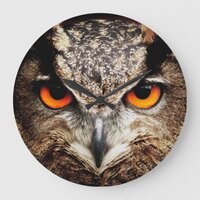 Owl 3 Wall Clocks & Numeral Options