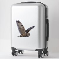 Short Eared Owl Custom-Cut Vinyl Sticker