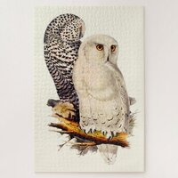 Vintage Snowy Owl Drawing Jigsaw Puzzle