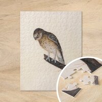 Little Owl | William Lewin Jigsaw Puzzle