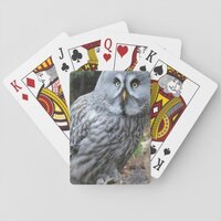 Owl Portrait Photograph Playing Cards