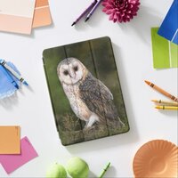 Western Barn Owl iPad Air Cover