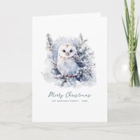 Woodland Pine Owl Merry Christmas Folded Card