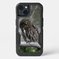 Northern Pygmy Owl iPhone 13 Case