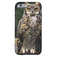 Great Horned Owl (Bubo virginianus), full body Tough iPhone 6 Case