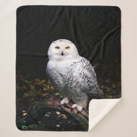 Majestic winter snowy owl sherpa blanket