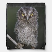 Eastern Screech-Owl, Megascops asio, Otus 2 Drawstring Bag