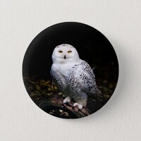 Majestic winter snowy owl button