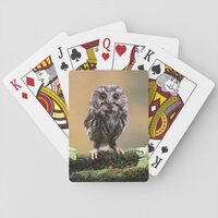 Cutest Baby Animals | A Baby Owl Playing Cards