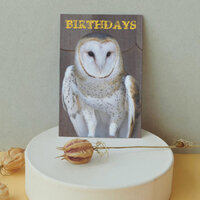 Barn Owl Funny Birthday Card