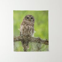 Barred Owl On Tree Limb Tapestry