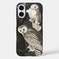 Audubon Snowy Owl Bird Artwork iPhone 16 Case