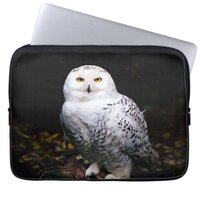Majestic winter snowy owl laptop sleeve