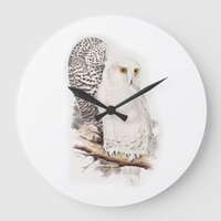 Lindas corujas brancas na neve (snowy owls) large clock