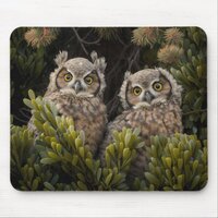 Adorable Great Horned Owl babies Mouse Pad