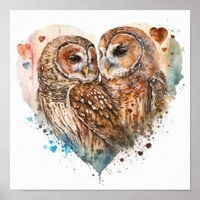 Barred Owls in love Poster
