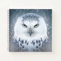 Snowy Owl Ice Stare Notebook
