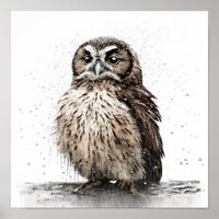 Owl Shower Print