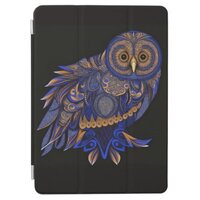 Lapis Paisley Owl iPad Air Cover