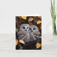Cuddling Ural Owls Card
